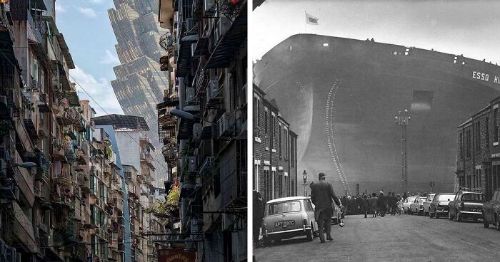 People Are Sharing Their Megalophobia Moments, And Here Are 50 Pics That Creeped Them Out (New Pics)