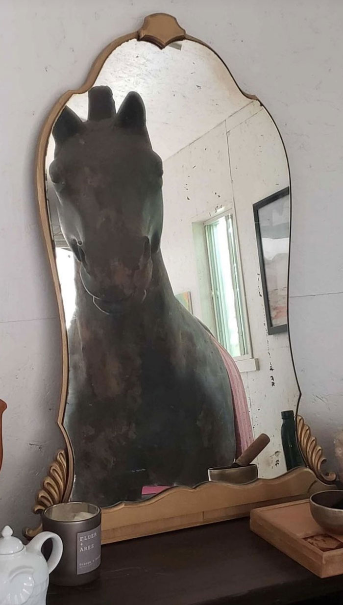 40 Times People Tried To Sell Mirrors And The Photos They Took Showed The Funniest Reflections 