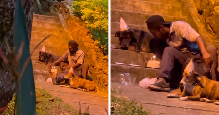 Homeless Man’s Birthday Party For His Dog Warms The Hearts Of Many, Leading To A Better Life For Them All