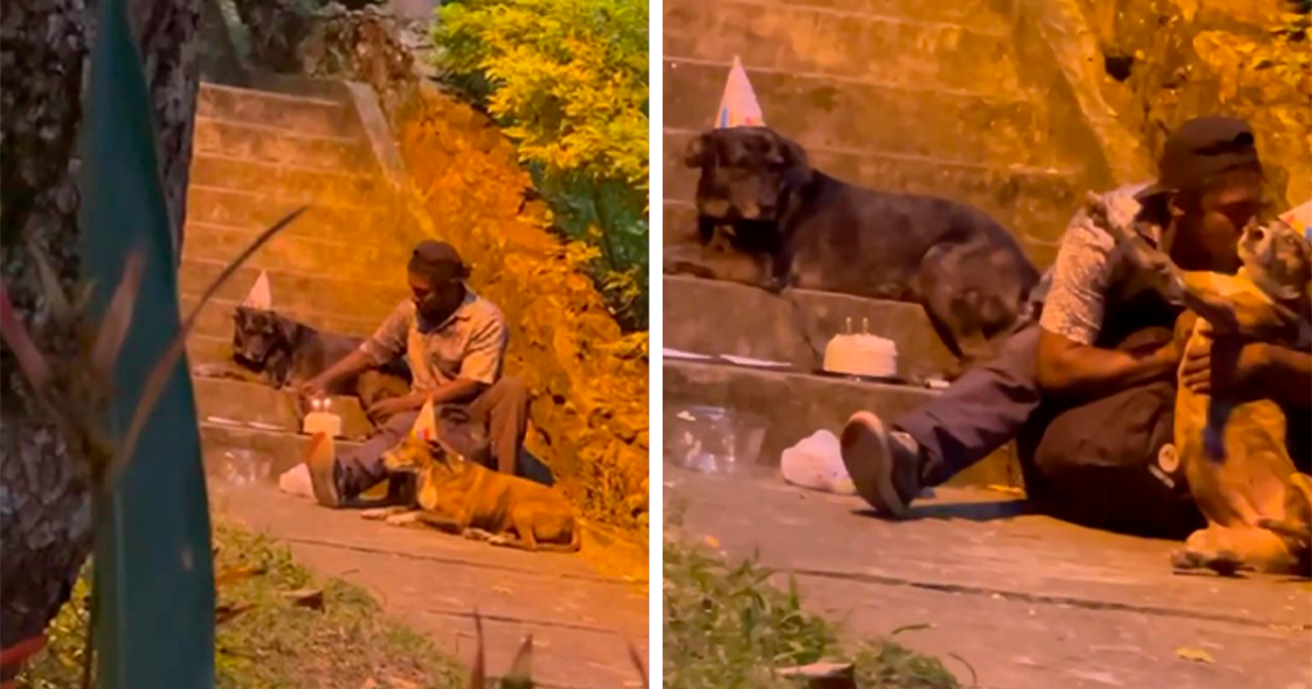 Homeless Man's Birthday Party For His Dog Warms The Hearts Of Many, Leading  To A Better Life For Them All | Bored Panda