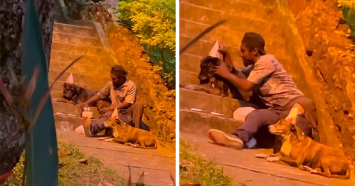 Homeless Man’s Birthday Party For His Dog Warms The Hearts Of Many, Leading To A Better Life For Them All