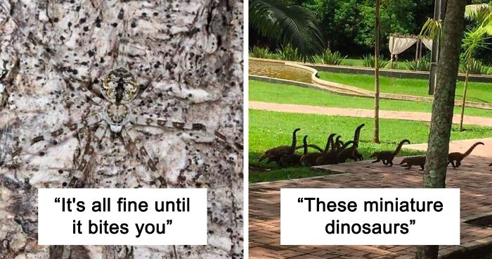 Our Readers Shared Pictures That Seem Fine Until You Look Closer (40 Pics)