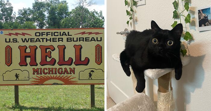 Black Cat With Huge Eyes And Paws Named Mayor Of Town Called Hell