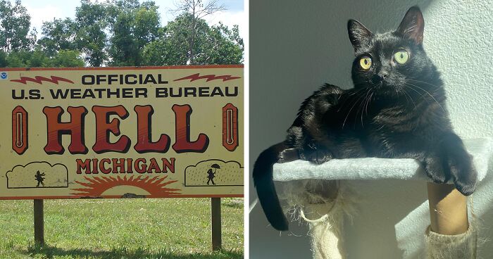 Black Cat With Huge Eyes And Paws Named Mayor Of Town Called Hell