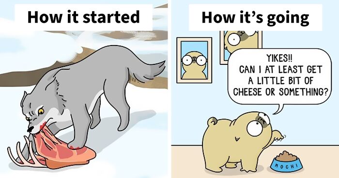 80 New Adorably Funny Comics About A Dog And Its Owner By This Artist