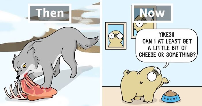 If You Thought That Living With A Pug Should Be Easy, This Adorably Funny Comic May Prove Otherwise (80 New Pics)