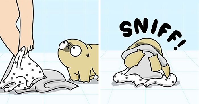 80 New Adorable Comics That Hilariously Sum Up What It’s Like Living With A Pug