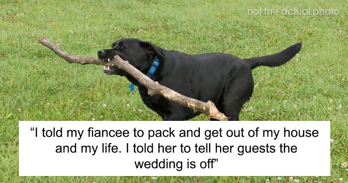 Man Gets Furious After Fiancée’s Carelessness Gets His Dog Sick, Cancels The Wedding