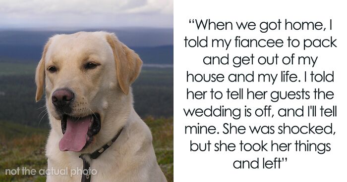 Guy Goes Mad After Fiancée’s Irresponsibility Gets His Dog Into An Emergency Vet Clinic, Later Cancels The Wedding