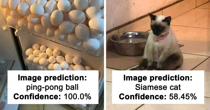 Twitter Account Uses A Bot To Describe Memes And These 130 Results Are Hilarious