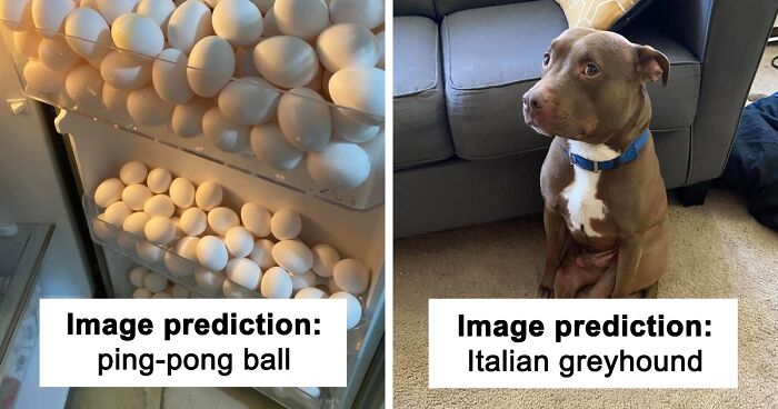 130 Completely Inaccurate But Hilarious Guesses Of Memes Made By Neural Net