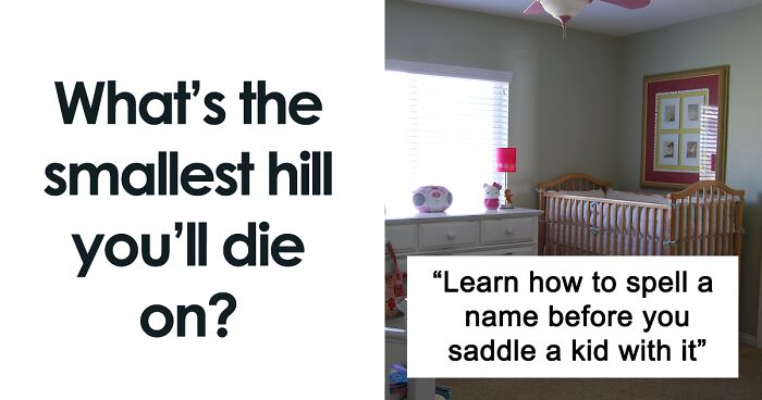 40 Of The Smallest Hills People Are Prepared To Die On, As Shared In This Online Group