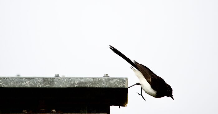 I’m Discovering My Gift Of Photography Just As Cancer Is Taking Away My Eyesight, And Here Are 14 Of My Best Nature Photos