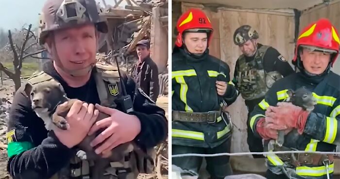 Ukrainian Policemen Pull Puppy Out Of Rubble And Return It To 77-Year-Old Owner Who’d Lost Everything Else