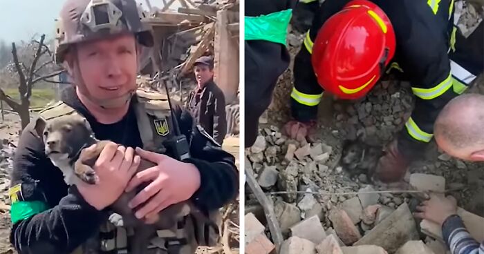 Ukrainian Policemen Pull Puppy Out Of Rubble And Return It To 77-Year-Old Owner Who’d Lost Everything Else