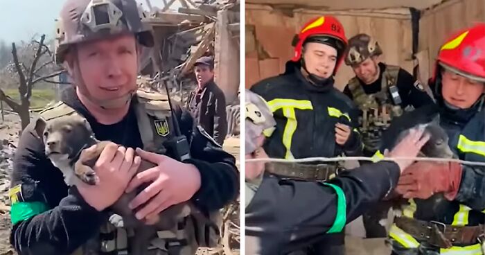 Ukrainian Policemen Pull Puppy Out Of Rubble And Return It To 77-Year-Old Owner Who’d Lost Everything Else