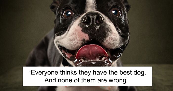 I Am A Pet Photographer And I Added Famous Quotes To My Dog Pictures (10 Pics)