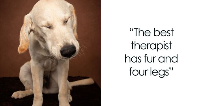 I Matched 10 Famous Quotes To My Dog Photographs