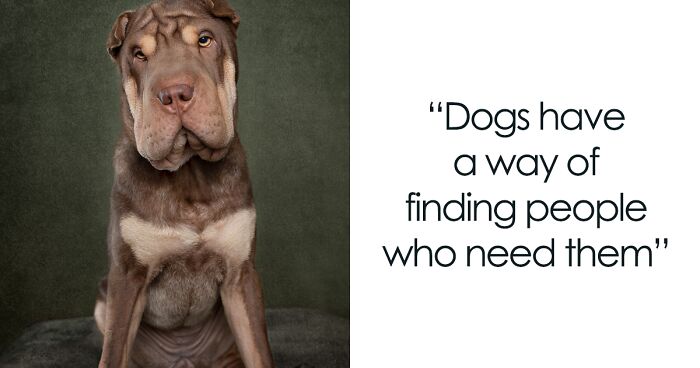 I Photographed 10 Dogs And Added Famous Quotes To Match The Pictures