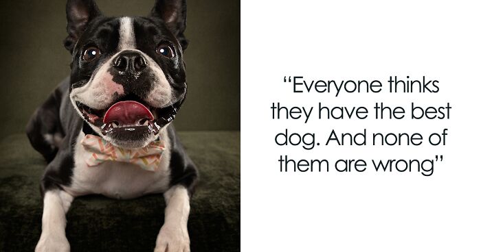 Wisdom About Dogs: I Added 10 Famous Quotes To My Photographs