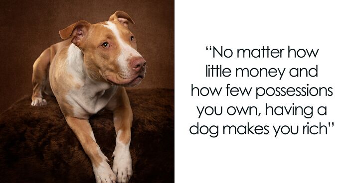 I Added Famous Quotes About Dogs To My Photographs (10 Pics)