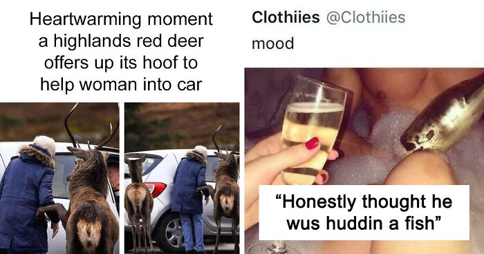 105 Of The Funniest Posts From 