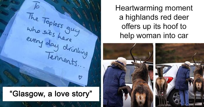 105 Funny Tweets That Define The Dry Scottish Sense Of Humor (New Pics)