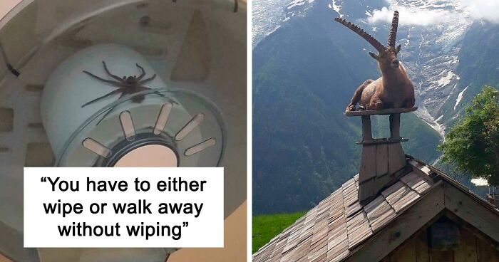 The “This Is My Life Now” Online Group Shares People And Animals In Unexpected Situations, Here Are 90 Of The Funniest