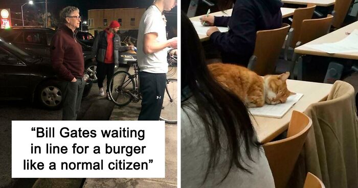 90 Oddly Hilarious Photos Of Humans And Animals 'Accepting Their Uncommon Situations'