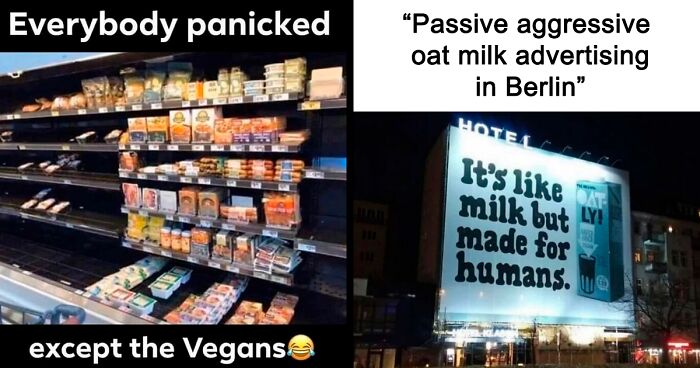 Over 350k People Follow This Instagram Account Dedicated To “Vegan Sarcasm” And Here Are 30 Of The Funniest Memes Posted There