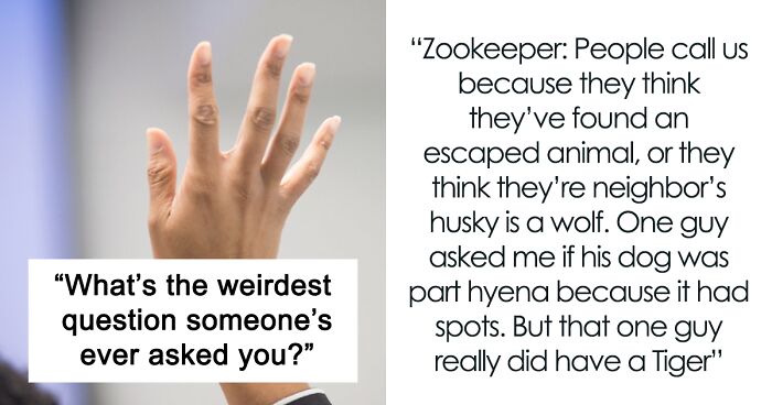 Person Asked 12 Various Professionals About The Strangest Questions They Ever Had To Answer