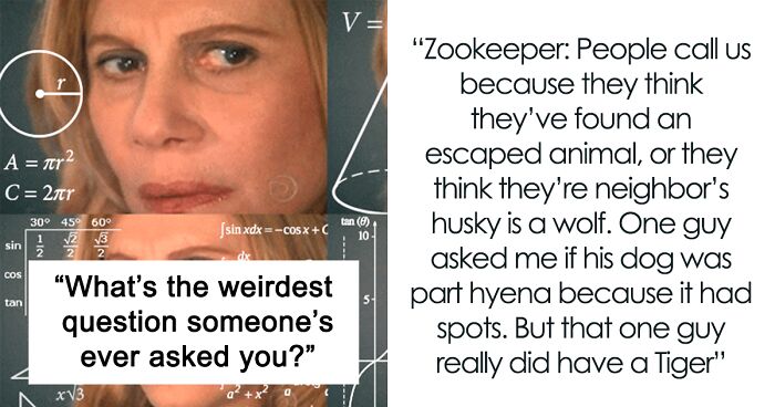 Person Loves To Ask Experts About Weird Questions They Get, Delivers A List Of 12 Amusing Ones