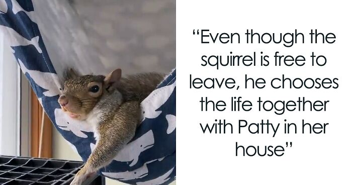 Baby Squirrel Wouldn’t Leave After It Was Rescued By This Woman