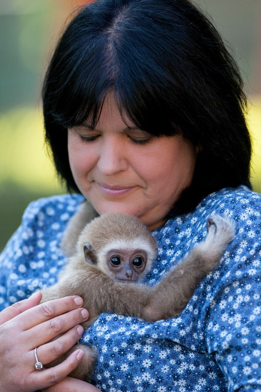 A Drama With A Happy Ending At The Skopje Zoo