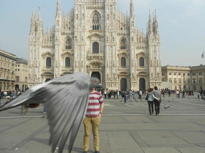 Me, Outside The Duomo In Milan, Getting Photobombed. By A Pigeon