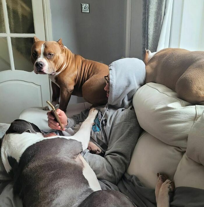 Personal Space? What’s That When You Have Bullys