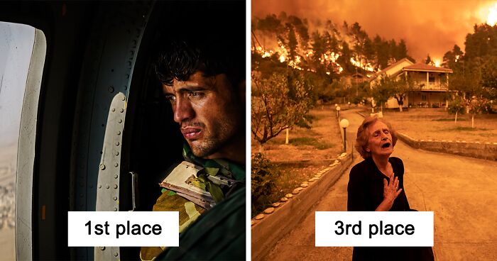 All About Photo Awards 2022: We've Chosen This Year's Best Images From Photographers Around The World (30 Pics)