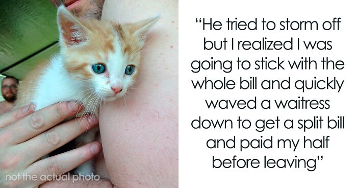 Cat Owner Confused After Being Rejected By His Date Because They're Allergic To Cats