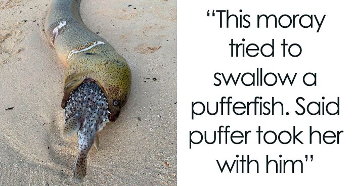 174 Times People Spotted Nightmarish Things In Nature And Just Had To Share It Online (New Pics)