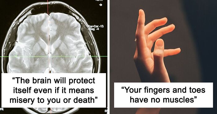 85 Creepy And Disturbing Facts About How Our Bodies Work, As Shared In This Viral Thread