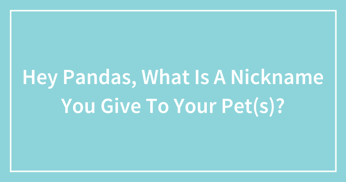 hey-pandas-what-is-a-nickname-you-give-to-your-pet-s-bored-panda