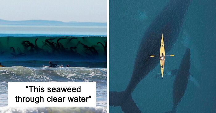 142 Pics Of Deep Water That Might Make Chills Run Down Your Spine, Especially If You’ve Got Thalassophobia