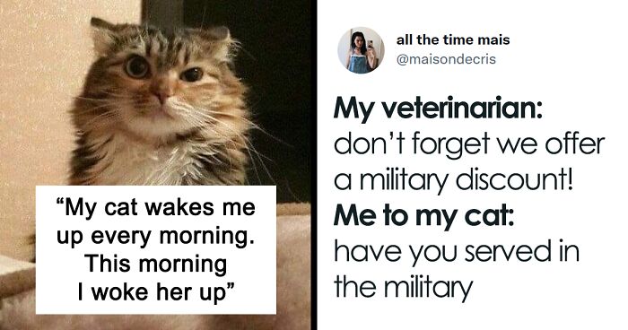 109 Funny Tweets That Are Too Real For Pet Owners