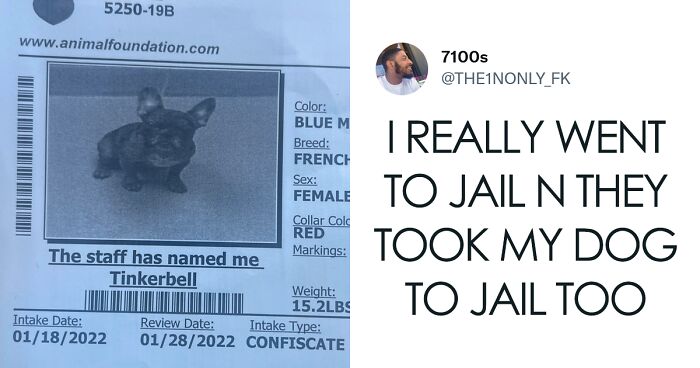 109 Of The Best Tweets About Pets That Might Make You Laugh