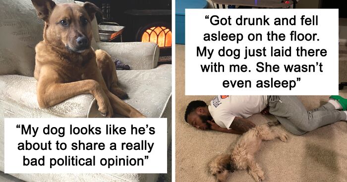 109 Of The Funniest Tweets About Cats And Dogs That People Posted