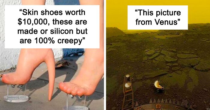 75 Times People Came Across Something That Fascinated And Creeped Them Out At The Same Time, As Shared In This Online Group