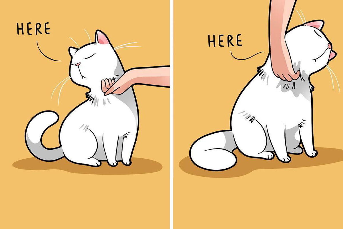 Anime Cat Furry Porn Captions - Artist Illustrates Funny Realities Of Living With A Cat (35 New Comics) |  Bored Panda