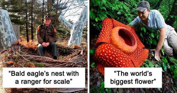 This Facebook Page Shares Magnificent And Sometimes Creepy Miracles From The Natural World (73 Pics)