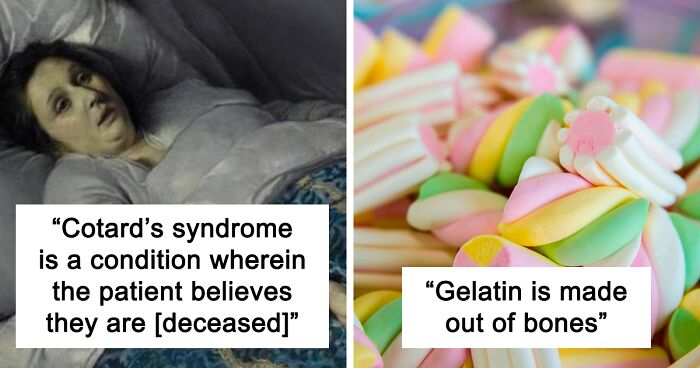 People On This Online Thread Are Sharing 43 Simple But Scary Real-Life Facts You Might Have Never Heard