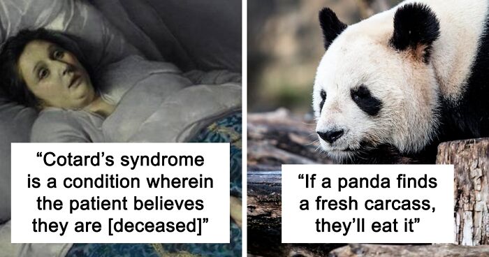 43 Simple Facts That Are Terrifying Because They're Real